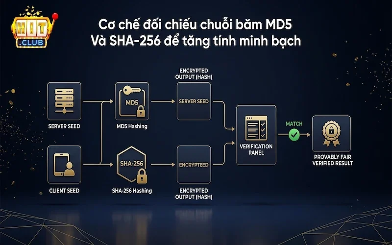 Cơ chế đối chiếu chuỗi băm MD5 Và SHA-256 để tăng tính minh bạch